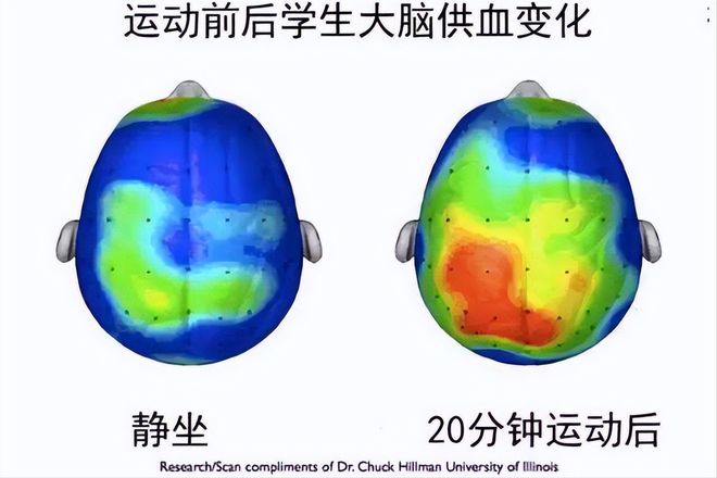 k1体k1体育平台育哪所学校盛产世界500强育appCEO？答案你想不到原因值得每位面包家长反思(图3)